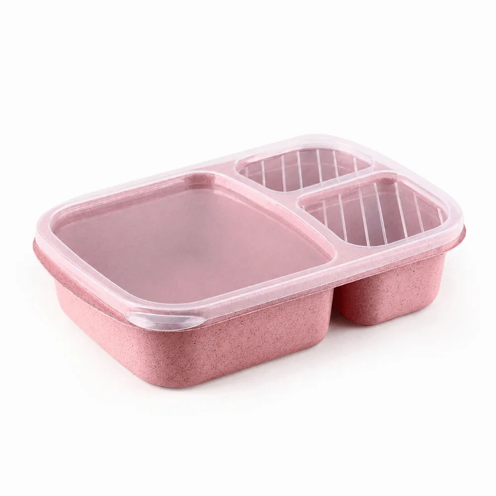 Daintry Everyday Lunch Box — 2 Compartments