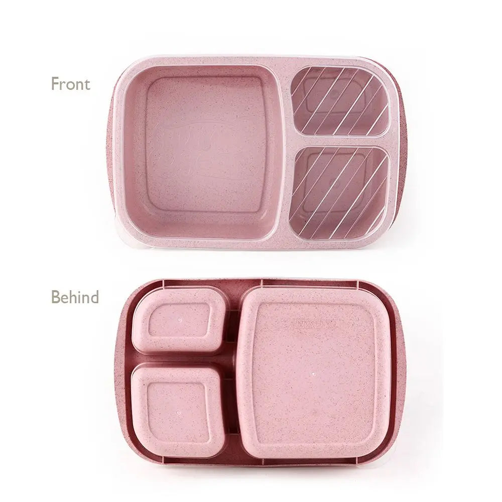 Daintry Everyday Lunch Box — 2 Compartments
