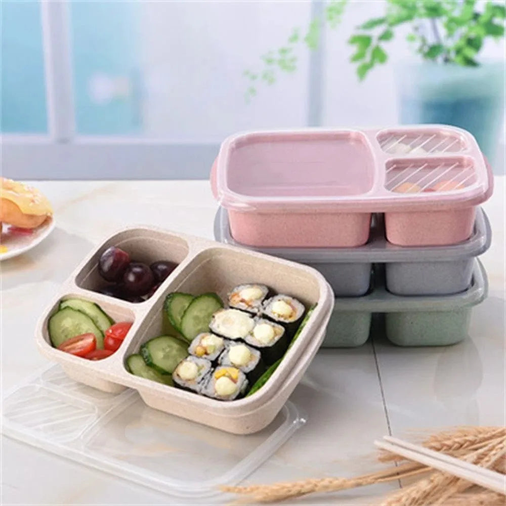 Daintry Everyday Lunch Box — 2 Compartments