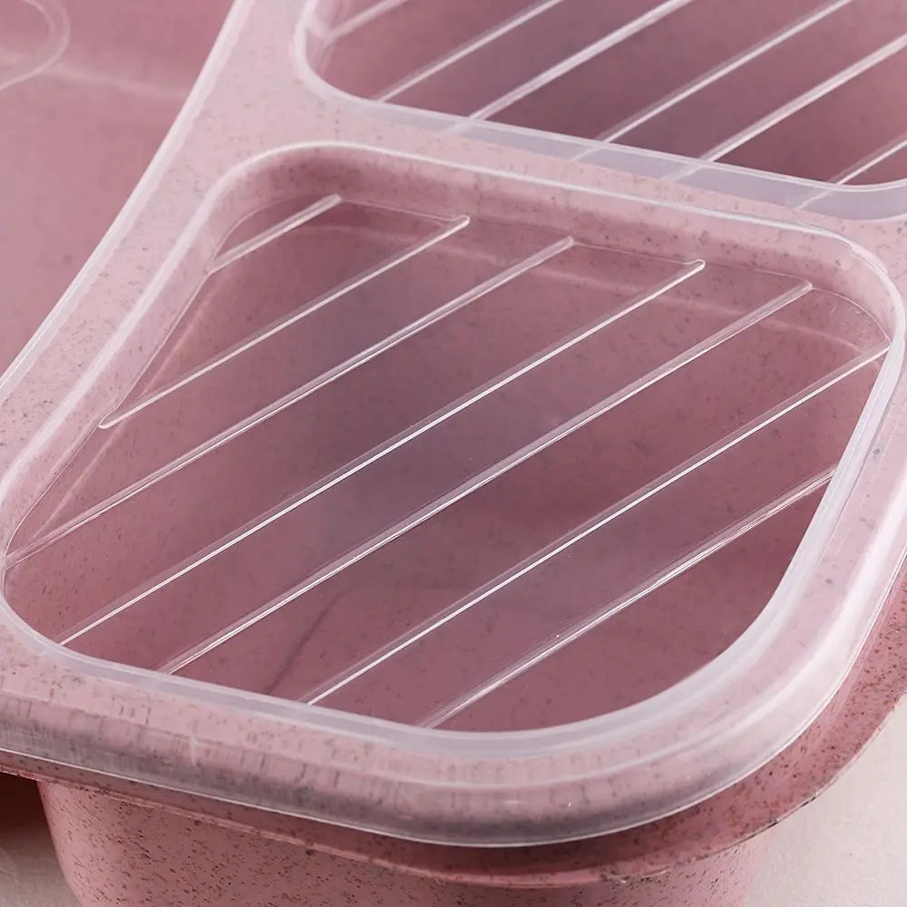 Daintry Everyday Lunch Box — 2 Compartments