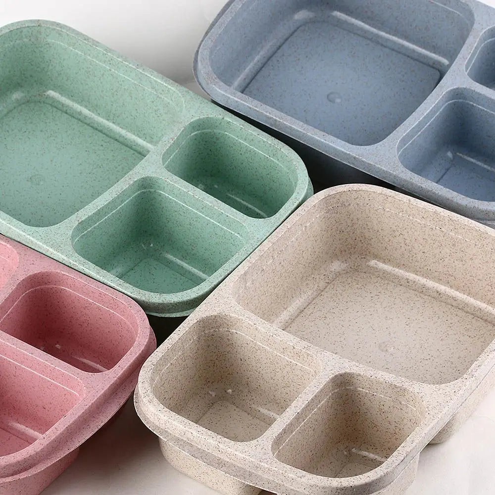 Daintry Everyday Lunch Box — 2 Compartments