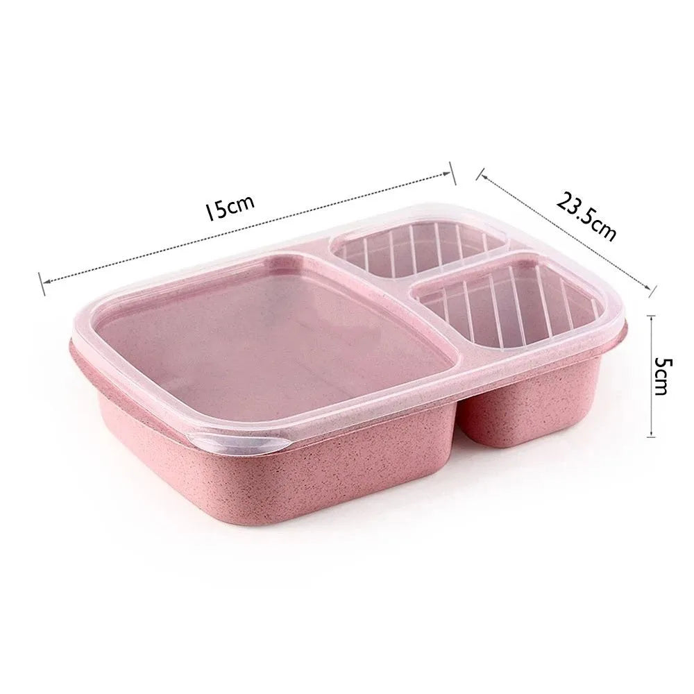 Daintry Everyday Lunch Box — 2 Compartments