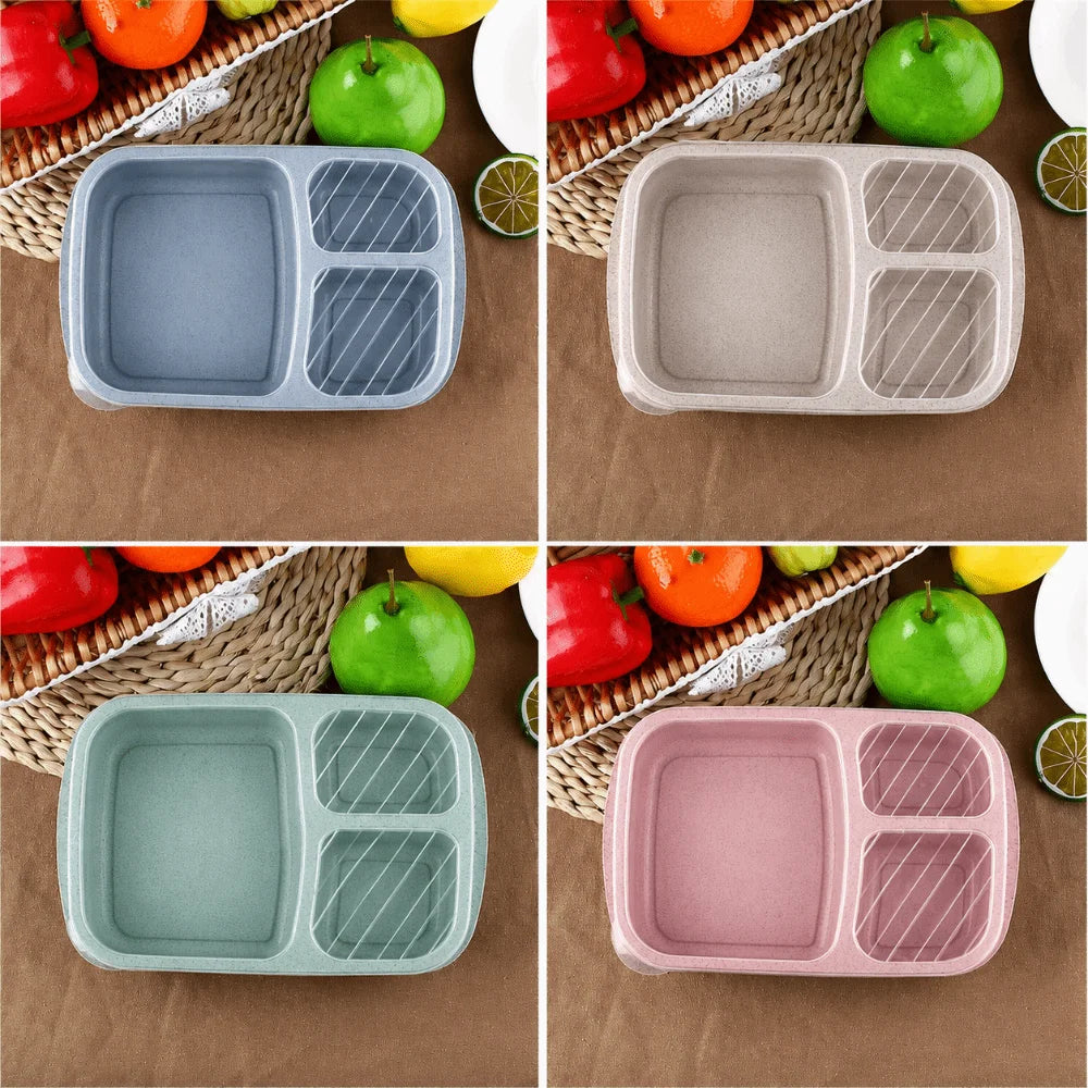 Daintry Everyday Lunch Box — 2 Compartments
