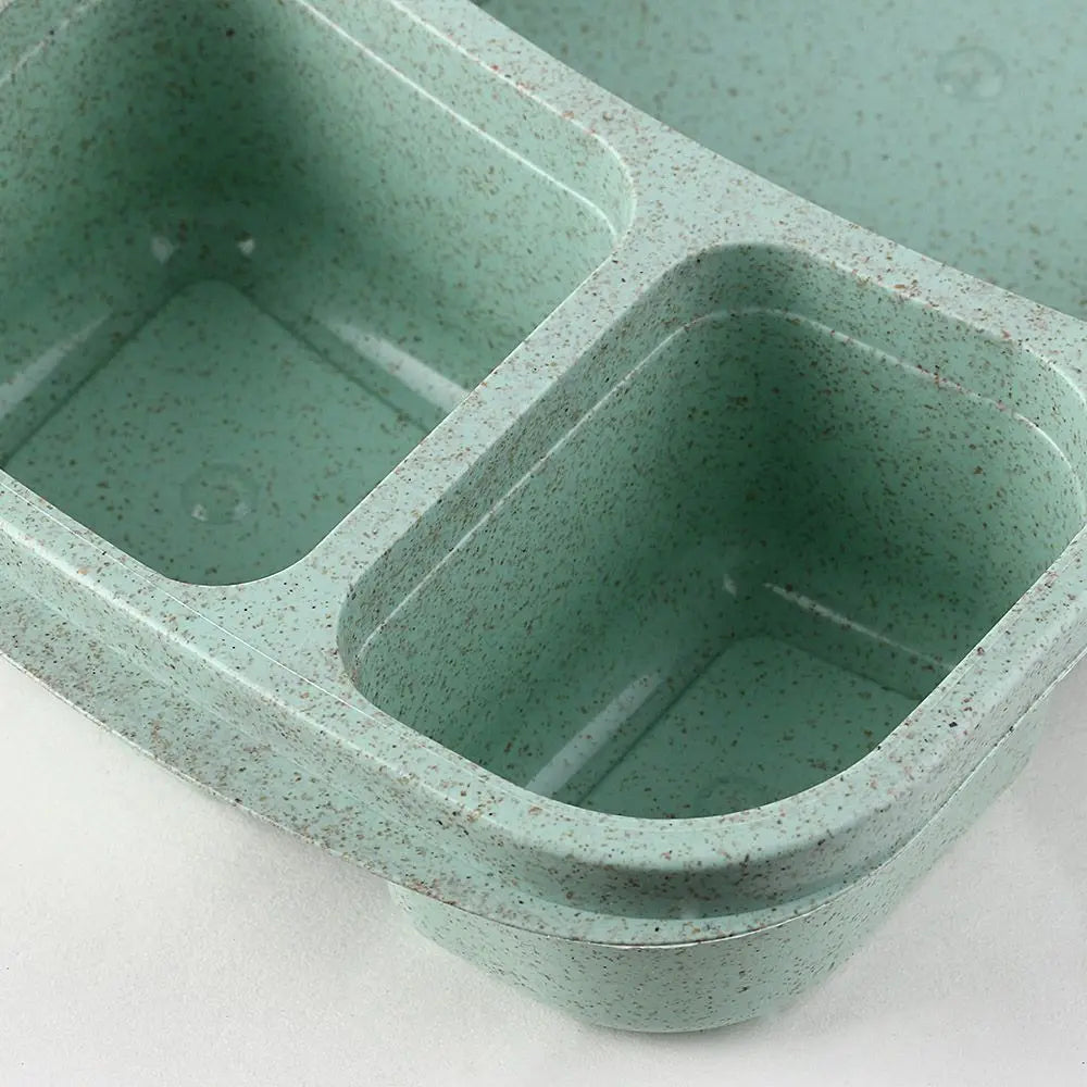 Daintry Everyday Lunch Box — 2 Compartments