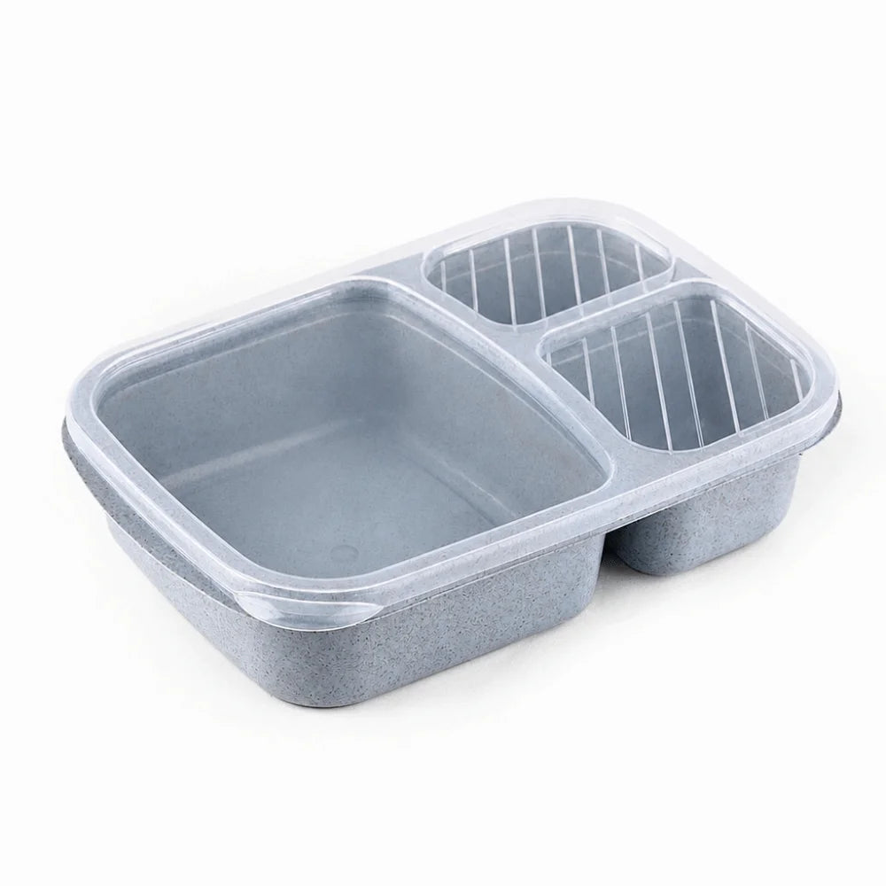 Daintry Everyday Lunch Box — 2 Compartments