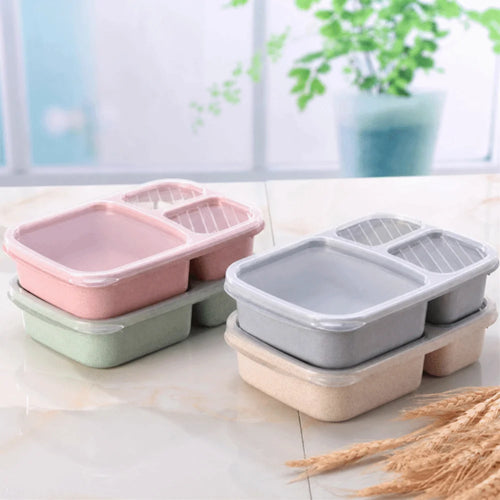 Daintry Everyday Lunch Box — 2 Compartments