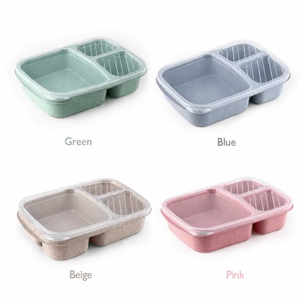 Daintry Everyday Lunch Box — 2 Compartments