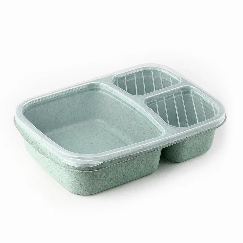 Daintry Everyday Lunch Box — 2 Compartments